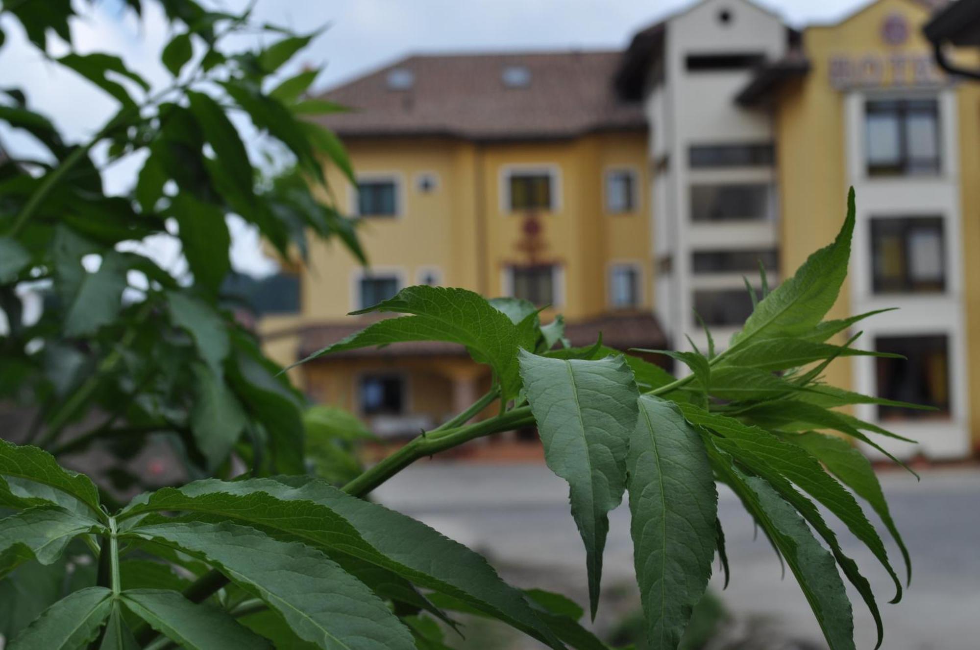 Hotel Duca Di Calabria Serra San Bruno Exterior photo